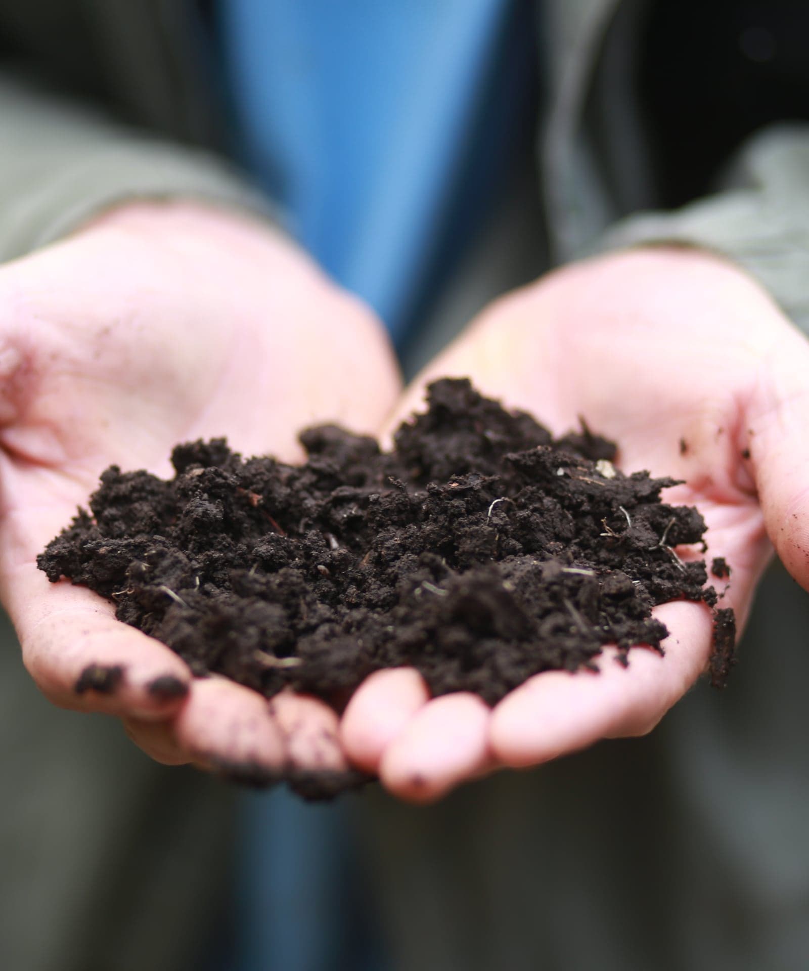 Two hands cradling a handful of dark, living compost.
